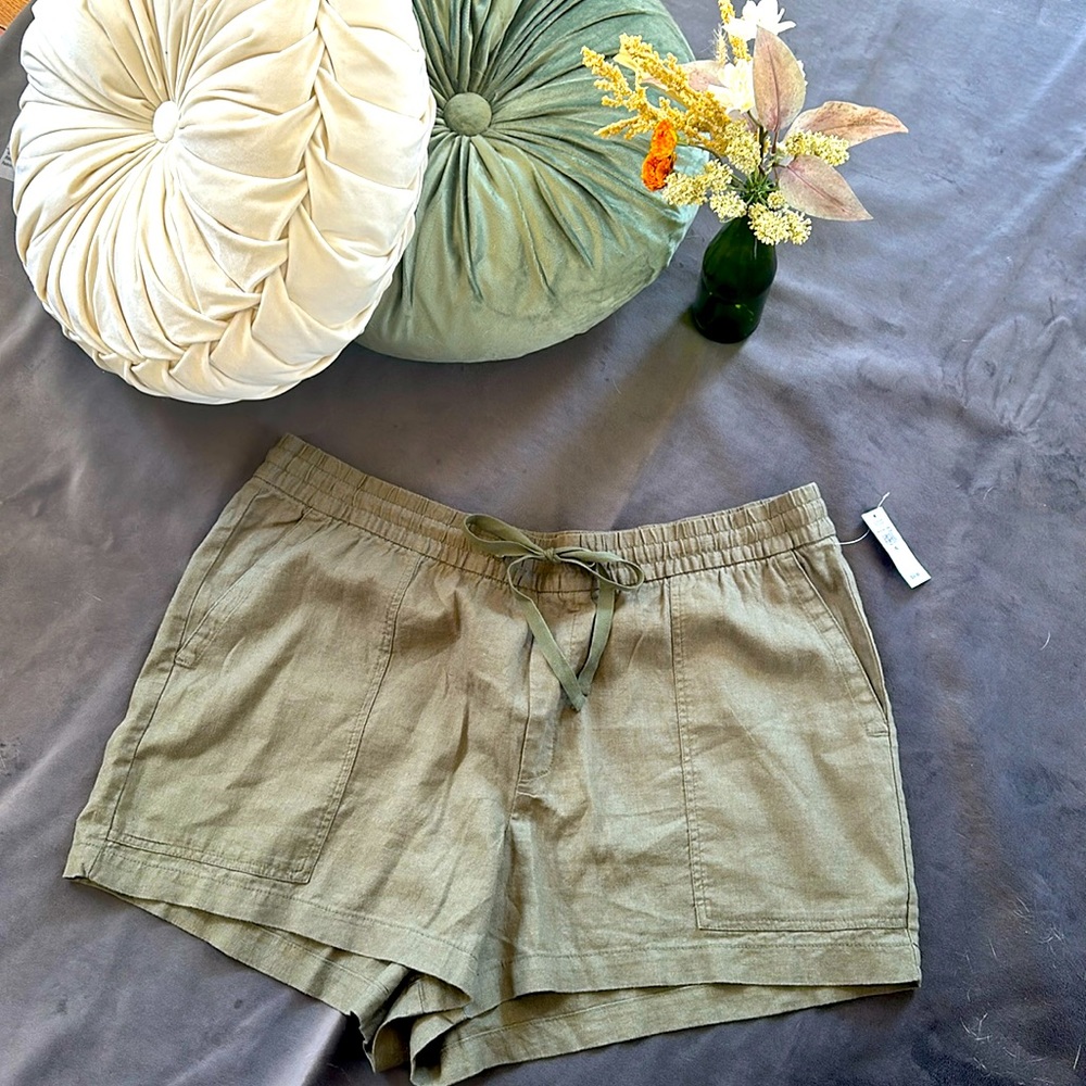 Gap. Olive Green. XL. NWT